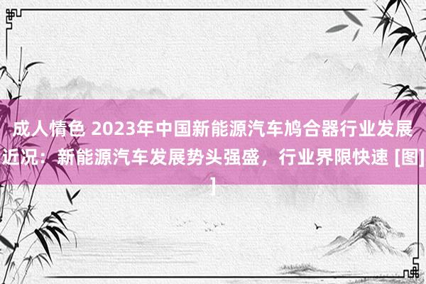 成人情色 2023年中国新能源汽车鸠合器行业发展近况：新能源汽车发展势头强盛，行业界限快速 [图]