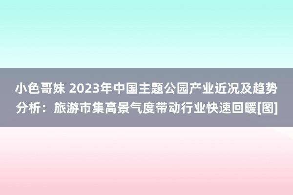 小色哥妹 2023年中国主题公园产业近况及趋势分析：旅游市集高景气度带动行业快速回暖[图]