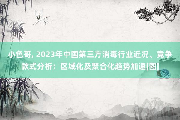 小色哥, 2023年中国第三方消毒行业近况、竞争款式分析：区域化及聚合化趋势加速[图]