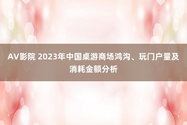 AV影院 2023年中国桌游商场鸿沟、玩门户量及消耗金额分析