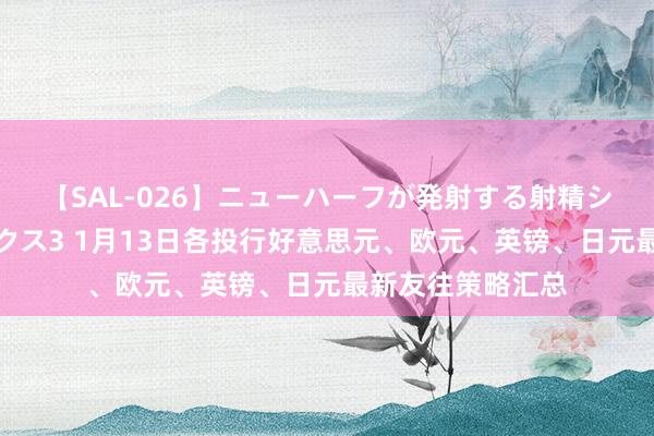 【SAL-026】ニューハーフが発射する射精シーンがあるセックス3 1月13日各投行好意思元、欧元、英镑、日元最新友往策略汇总