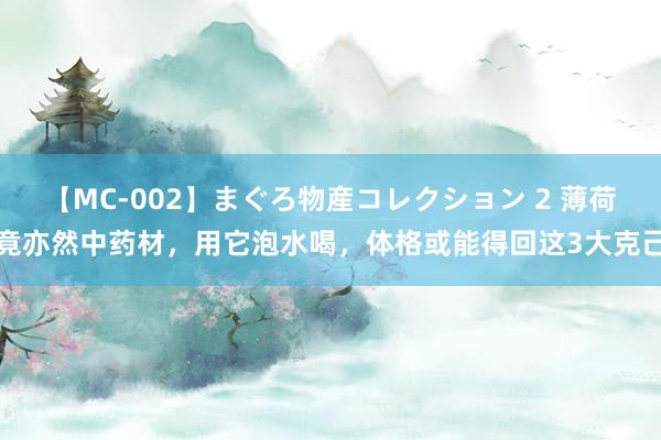 【MC-002】まぐろ物産コレクション 2 薄荷竟亦然中药材，用它泡水喝，体格或能得回这3大克己