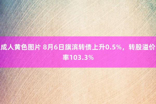 成人黄色图片 8月6日旗滨转债上升0.5%，转股溢价率103.3%