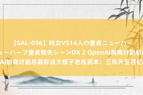 【SAL-096】純女VS14人の童貞ニューハーフ 二度と見れないニューハーフ童貞喪失シーンDX 2 OpenAI前商讨副总裁称谈大模子老练资本：三年升至百亿好意思元