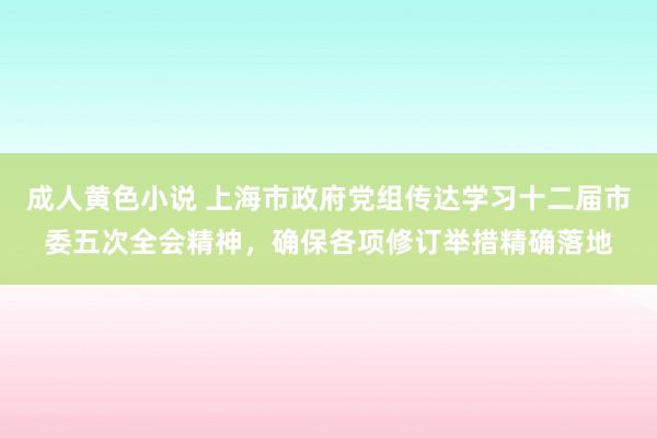 成人黄色小说 上海市政府党组传达学习十二届市委五次全会精神，确保各项修订举措精确落地