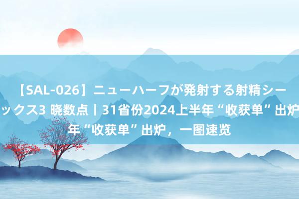 【SAL-026】ニューハーフが発射する射精シーンがあるセックス3 晓数点丨31省份2024上半年“收获单”出炉，一图速览