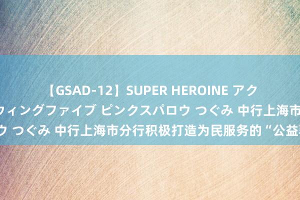 【GSAD-12】SUPER HEROINE アクションウォーズ 超翼戦隊ウィングファイブ ピンクスパロウ つぐみ 中行上海市分行积极打造为民服务的“公益驿站”