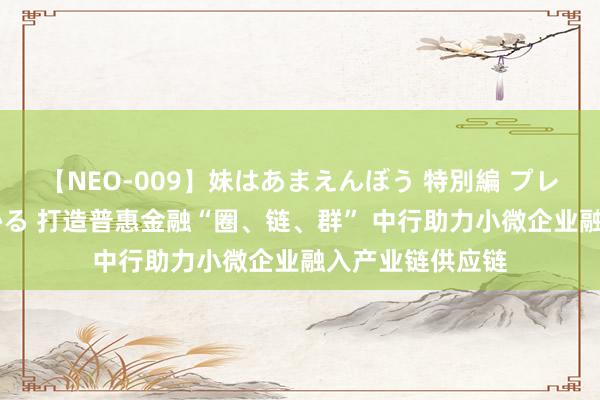 【NEO-009】妹はあまえんぼう 特別編 プレミアおなら ひかる 打造普惠金融“圈、链、群” 中行助力小微企业融入产业链供应链