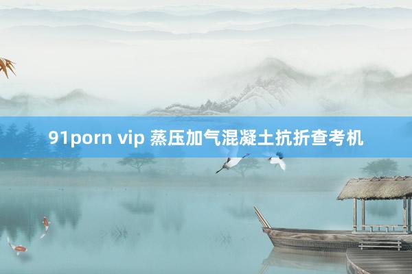 91porn vip 蒸压加气混凝土抗折查考机