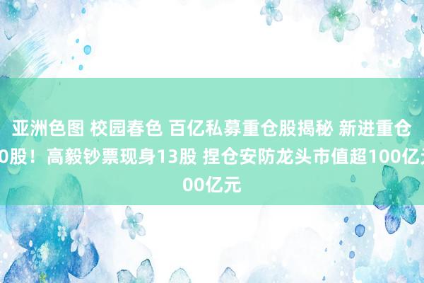 亚洲色图 校园春色 百亿私募重仓股揭秘 新进重仓10股！高毅钞票现身13股 捏仓安防龙头市值超100亿元