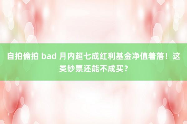 自拍偷拍 bad 月内超七成红利基金净值着落！这类钞票还能不成买？