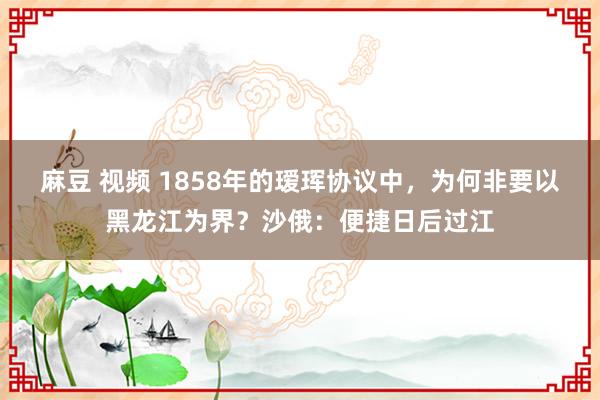 麻豆 视频 1858年的瑷珲协议中，为何非要以黑龙江为界？沙俄：便捷日后过江