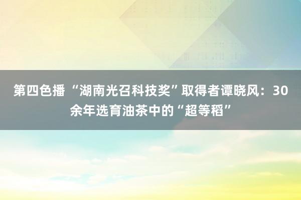 第四色播 “湖南光召科技奖”取得者谭晓风：30余年选育油茶中的“超等稻”