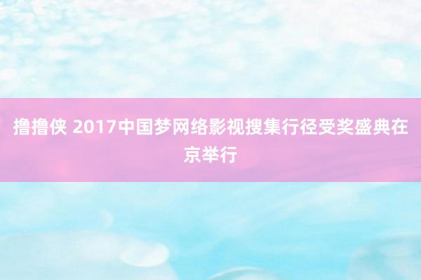 撸撸侠 2017中国梦网络影视搜集行径受奖盛典在京举行