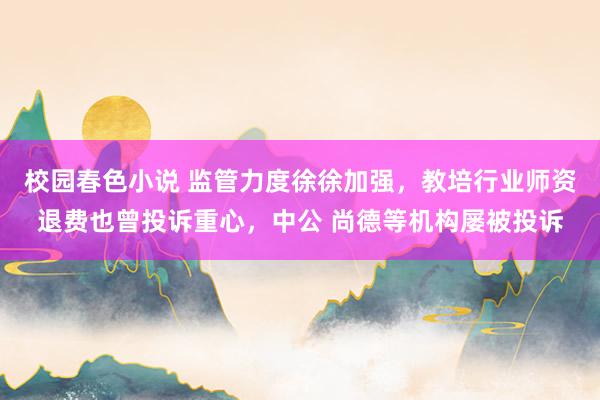 校园春色小说 监管力度徐徐加强，教培行业师资退费也曾投诉重心，中公 尚德等机构屡被投诉