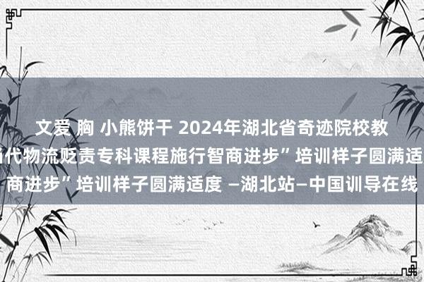 文爱 胸 小熊饼干 2024年湖北省奇迹院校教练教诲提高算计打算“当代物流贬责专科课程施行智商进步”培训样子圆满适度 —湖北站—中国训导在线