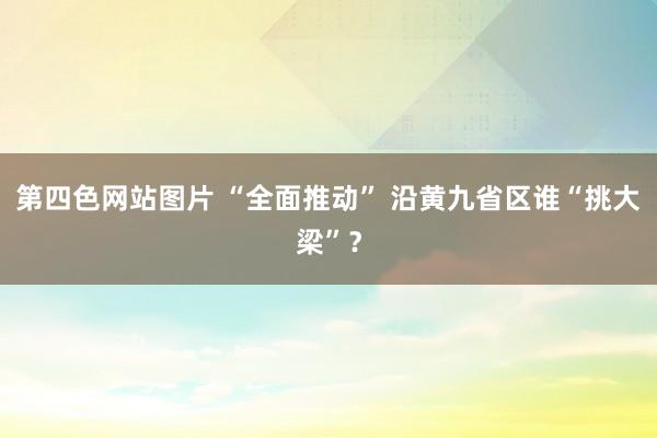 第四色网站图片 “全面推动” 沿黄九省区谁“挑大梁”？