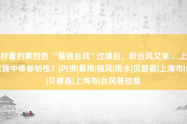 好看的第四色 “最强台风”过境后，新台风又来…上海何故在实践中修都韧性？|内涝|暴雨|强风|雨水|贝碧嘉|上海市|台风普拉桑